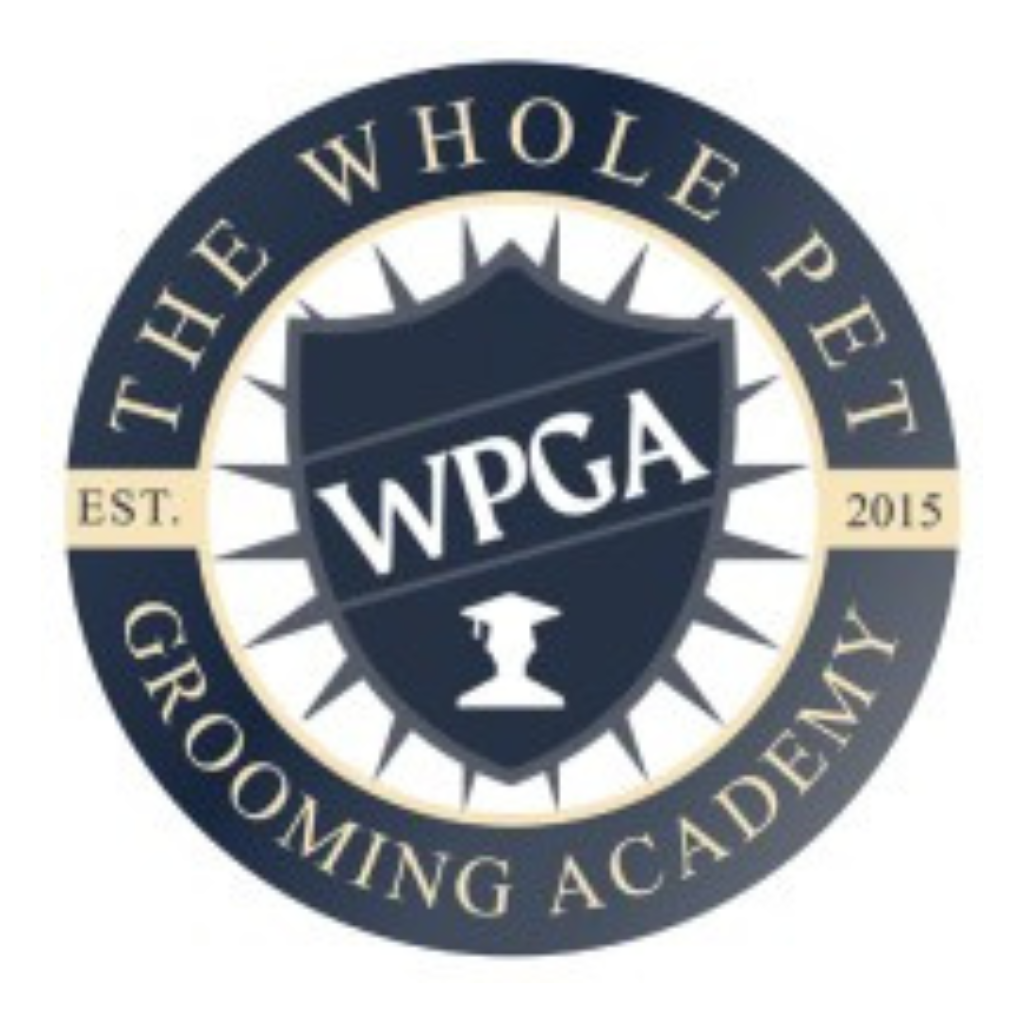 Untitled design (21)