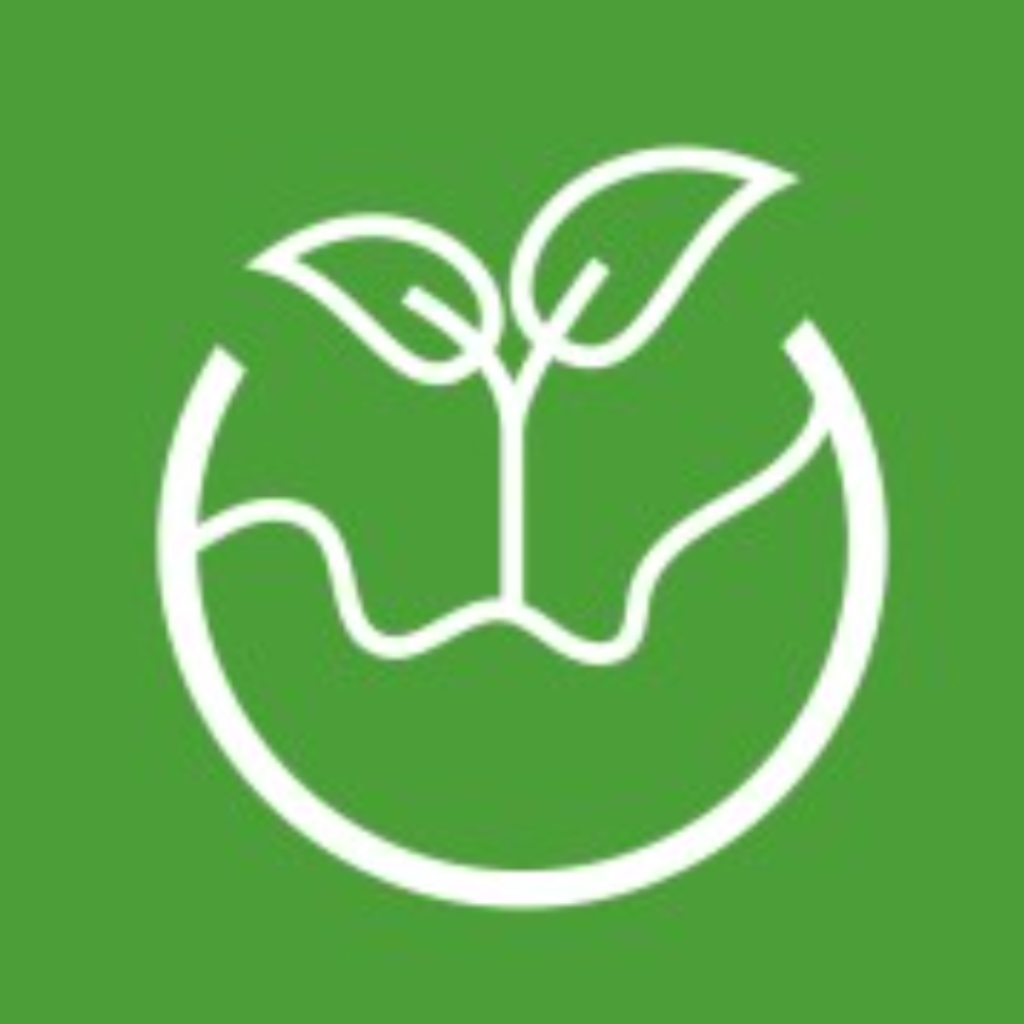 Untitled design (55)